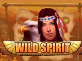 Игровой автомат Wild Spirit играть бесплатно